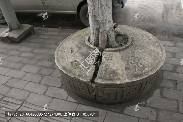 茶