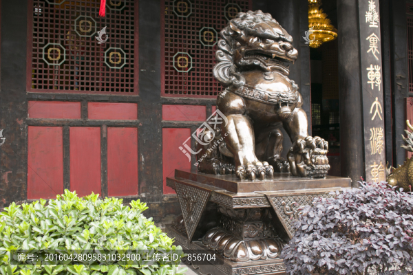 獅子