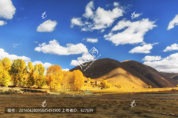 新都橋風(fēng)光
