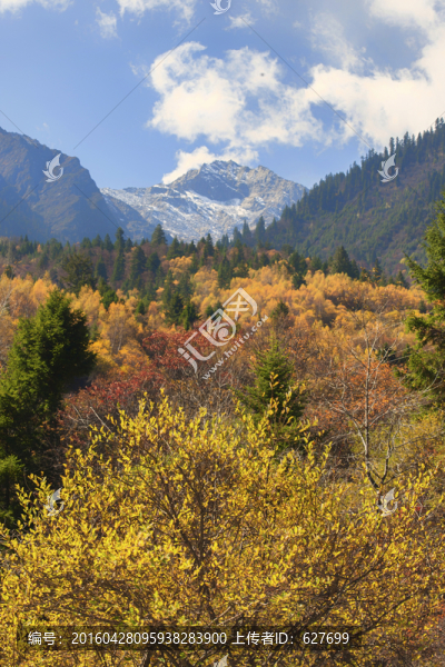 達古冰山景區(qū)風光
