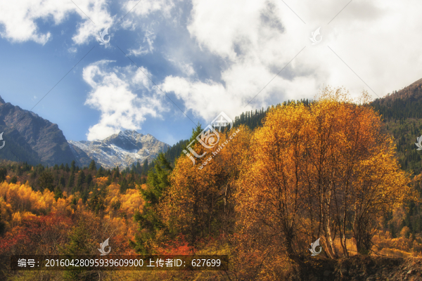 達(dá)古冰山景區(qū)風(fēng)光