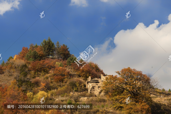 黑水彩林風(fēng)光