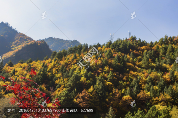 達(dá)古冰山景區(qū)風(fēng)光