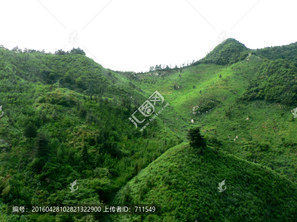 青山,綠山,山頭