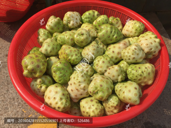 諾麗果
