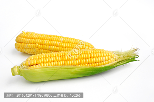 兩根玉米