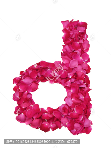 d字母