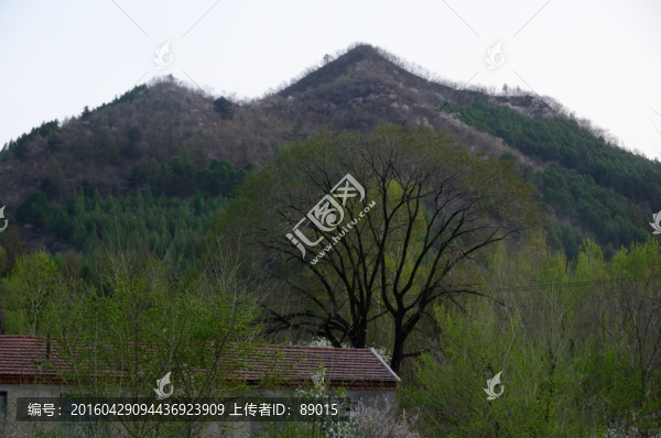 遼寧本溪采煤沉陷區(qū)牛心臺民居