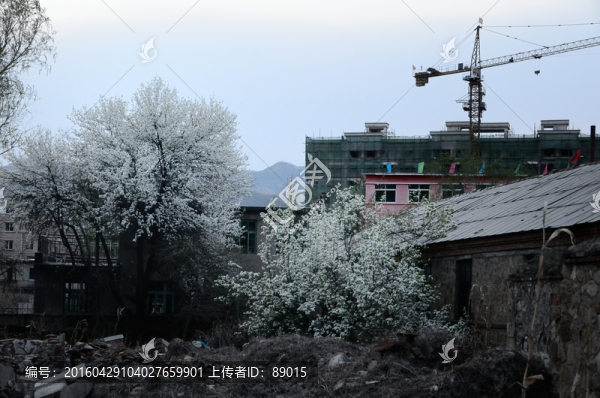 遼寧本溪采煤沉陷區(qū)牛心臺(tái)