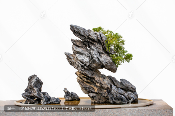 中國(guó)風(fēng)格山水盆景