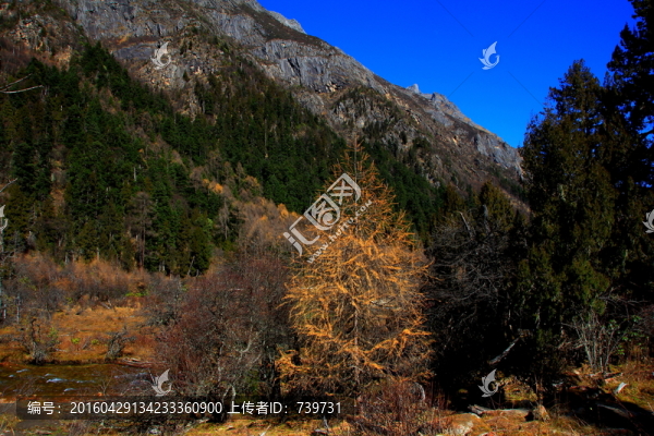 畢棚溝