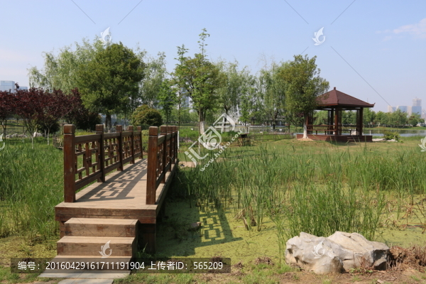 沙湖公園風(fēng)景