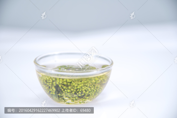 三七花茶
