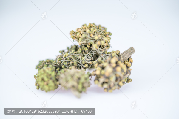 發(fā)霉三七花