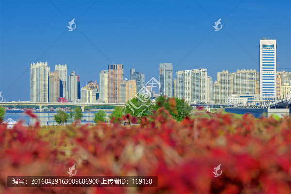 美麗哈爾濱