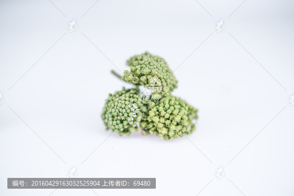 優(yōu)質(zhì)田七花