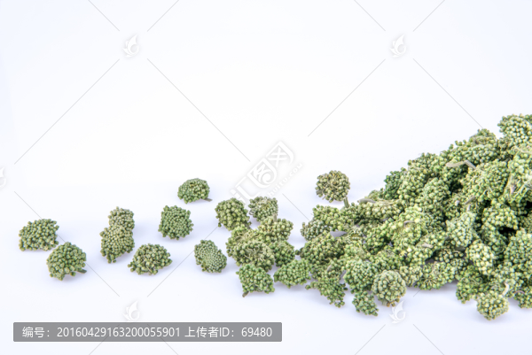 三七花茶