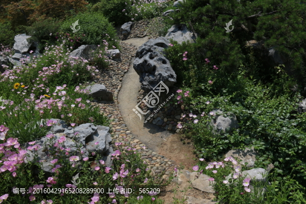 沙湖公園風(fēng)景