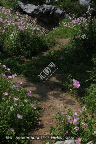 沙湖公園風(fēng)景