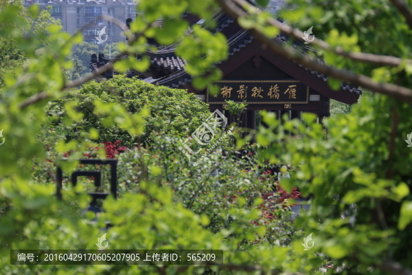 沙湖公園風景