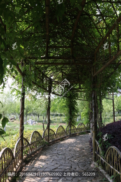 沙湖公園風景