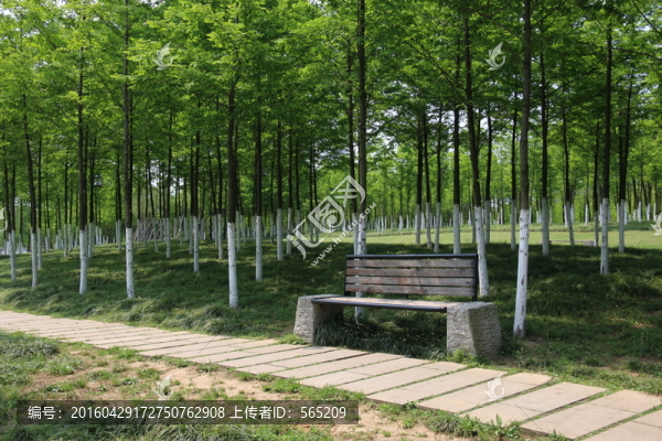 沙湖公園風景