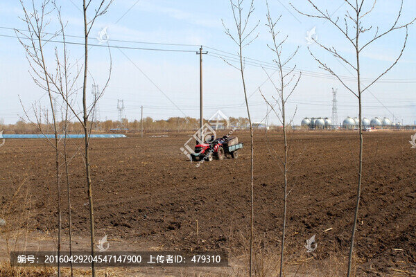 大地,春天,播種,春播,農(nóng)村