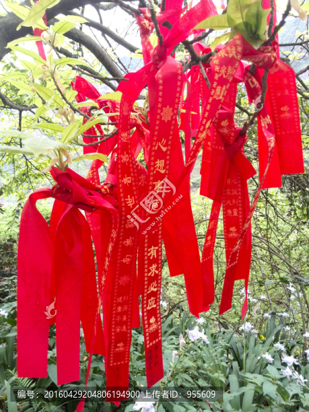許愿樹