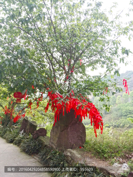 許愿樹