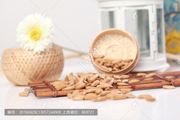 巴西松子