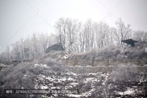 山上的雪