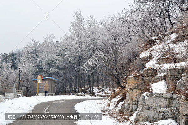 山上的雪