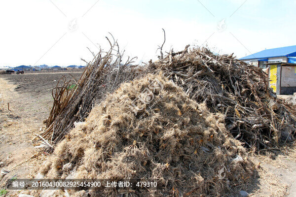 采草垛,燒柴