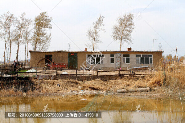 農(nóng)家院,農(nóng)村,院子,籬笆墻