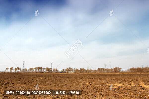 大地,春天,播種,春播,農(nóng)村