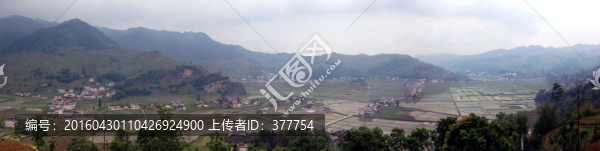 春天的田野