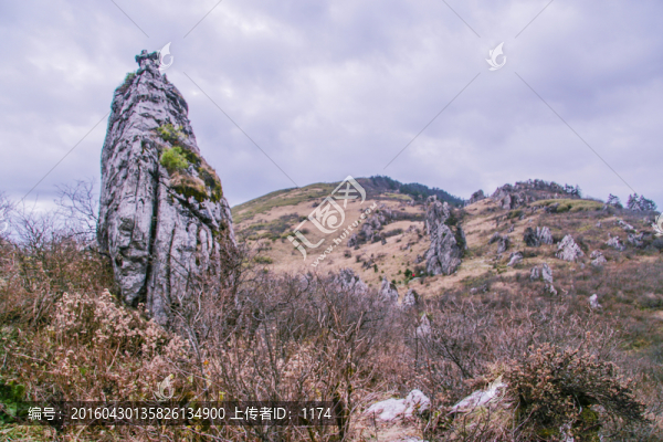 神農(nóng)架風光