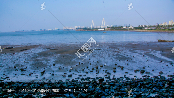 ?？陲L(fēng)光