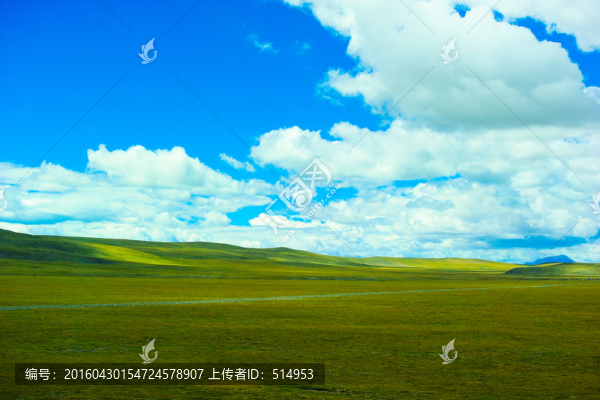 西藏