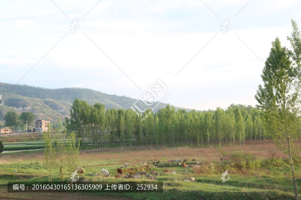 田園風光