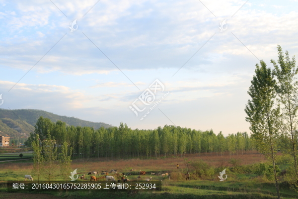 田園放牧