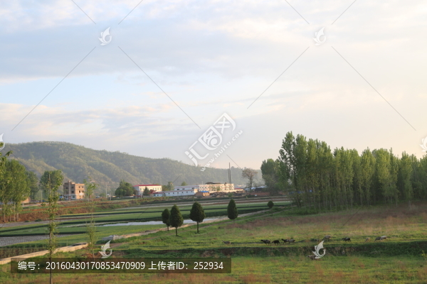 田園風(fēng)景