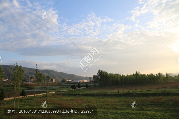 田野風景