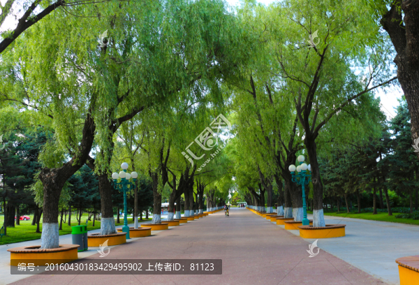 綠蔭大道