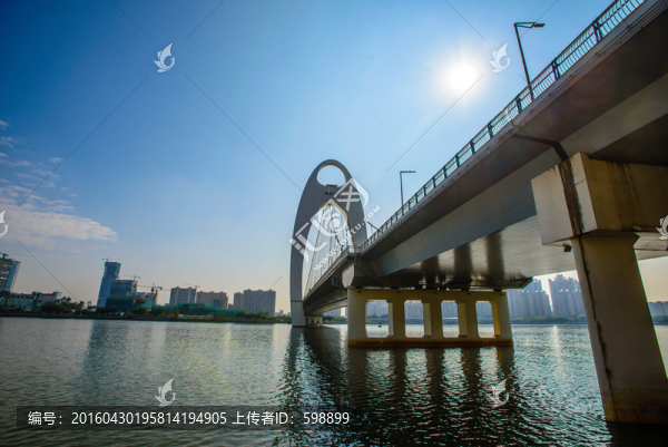 陽光下的獵德大橋