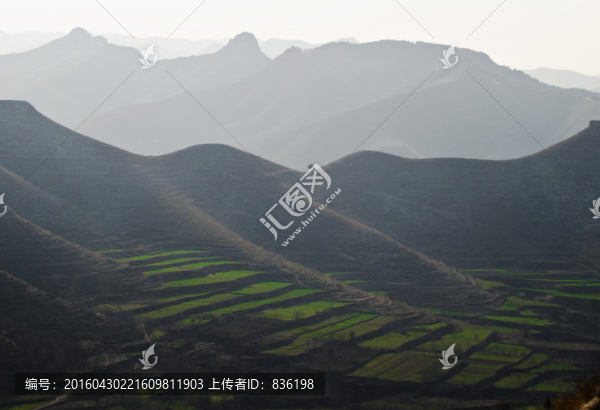 遠山