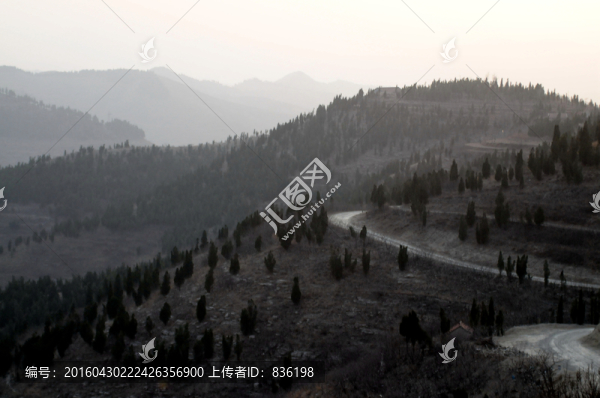 山路