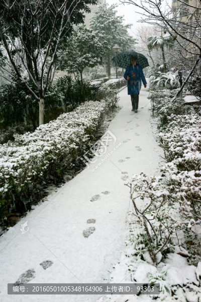 雪景