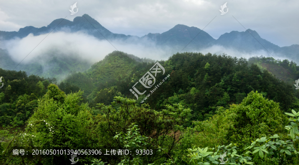 高山