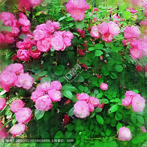 油畫,花卉
